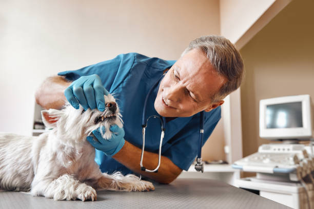 Best Emergency Tooth Extraction  in Goodwater, AL